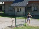 vedoucí stavby - dokončeno
